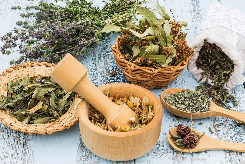 تصویر 1 از خرید و فروش گیاه دارویی سنا با شرایط فوق العاده
